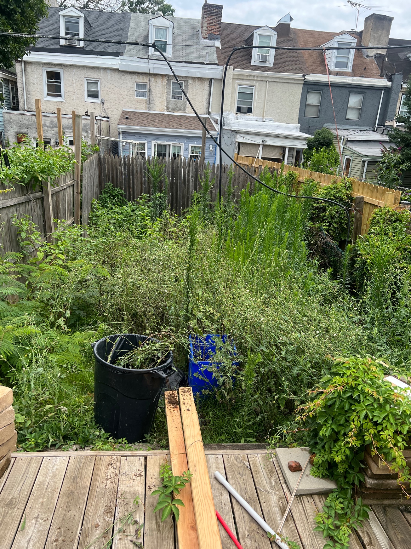 Lawn Restoration before