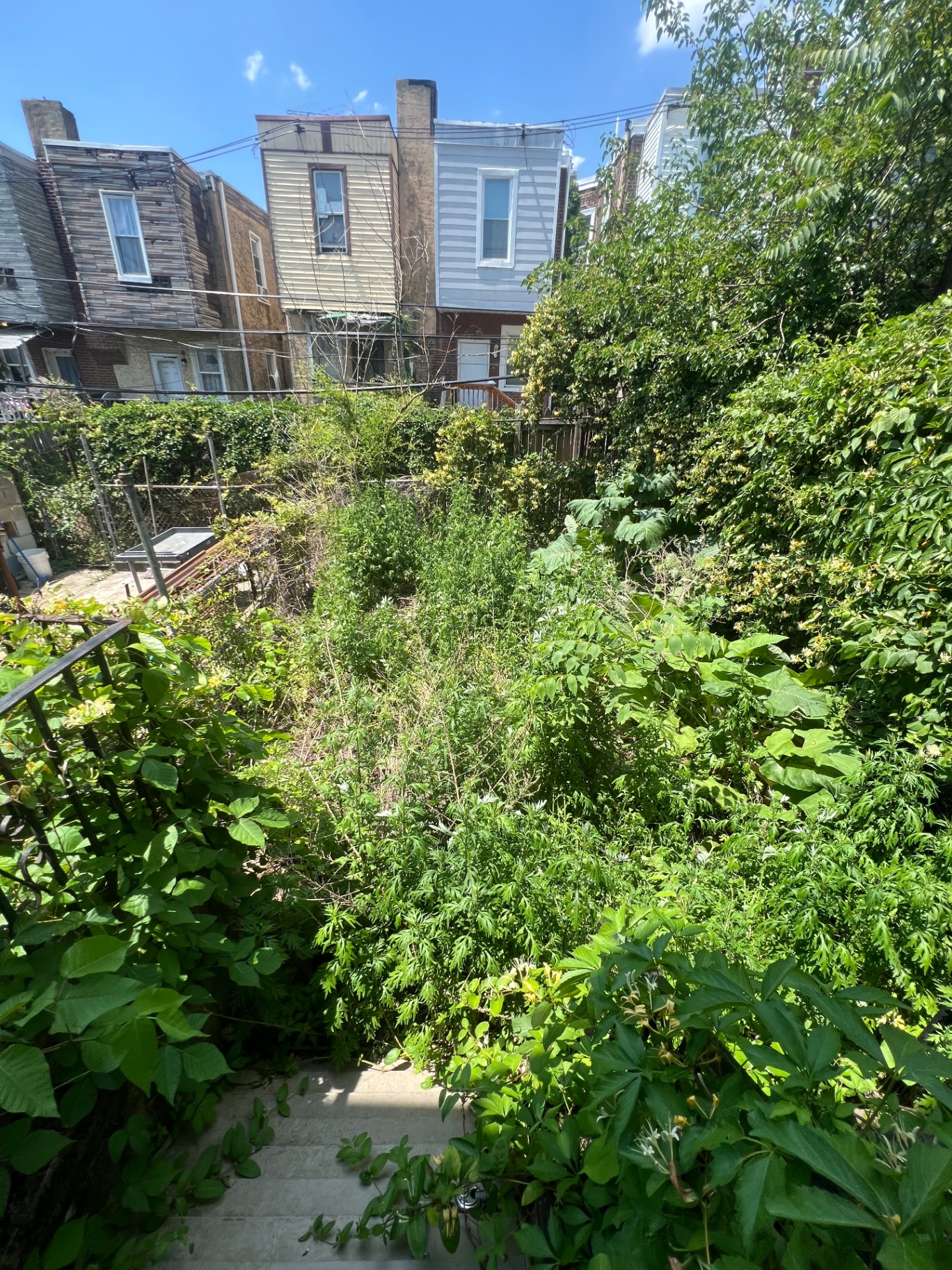Property Cleanup before
